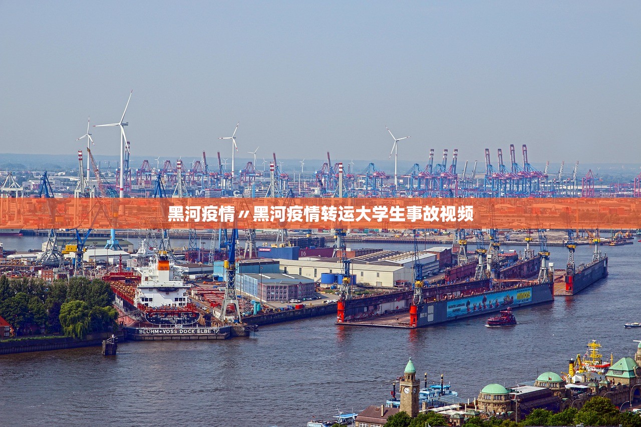 黑河疫情〃黑河疫情转运大学生事故视频