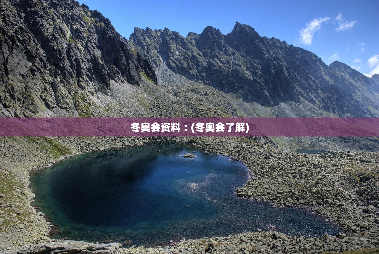 冬奥会资料︰(冬奥会了解)