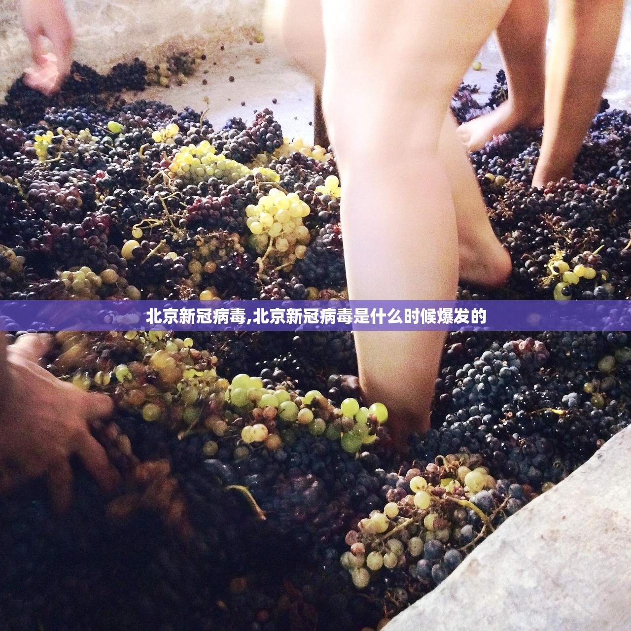 北京新冠病毒,北京新冠病毒是什么时候爆发的
