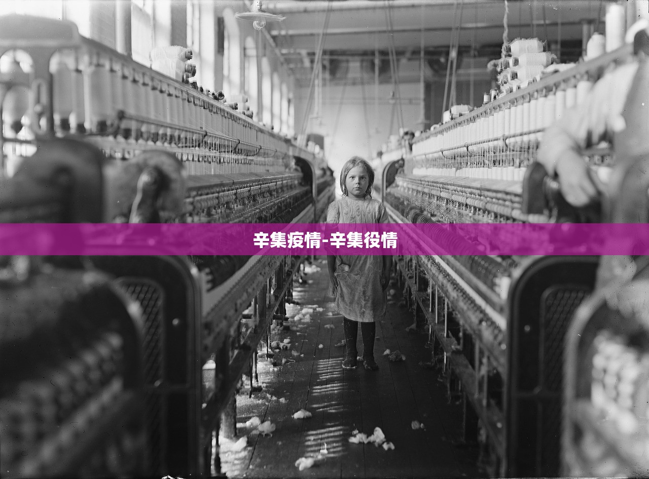 辛集疫情-辛集役情