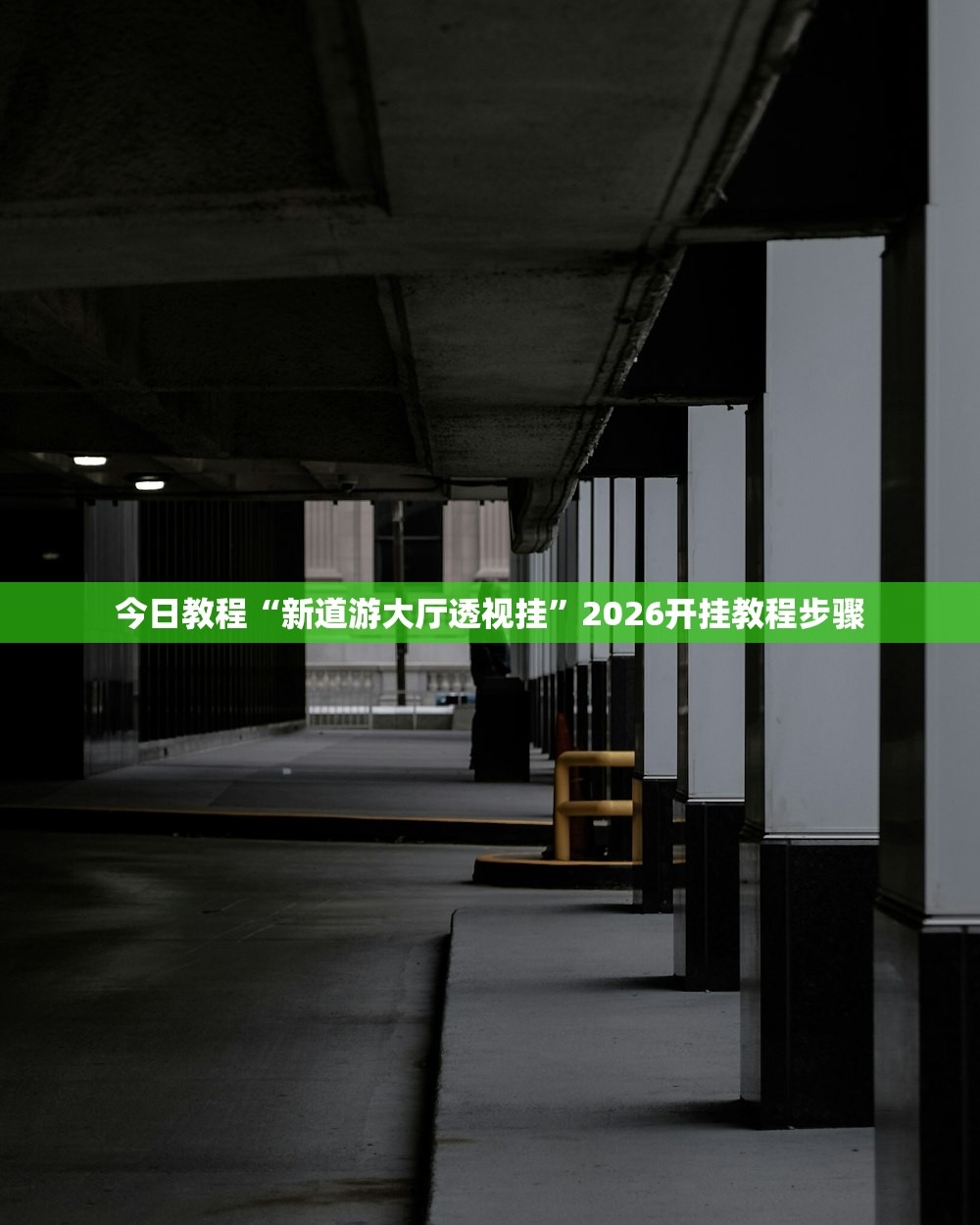 今日教程“新道游大厅透视挂”2026开挂教程步骤