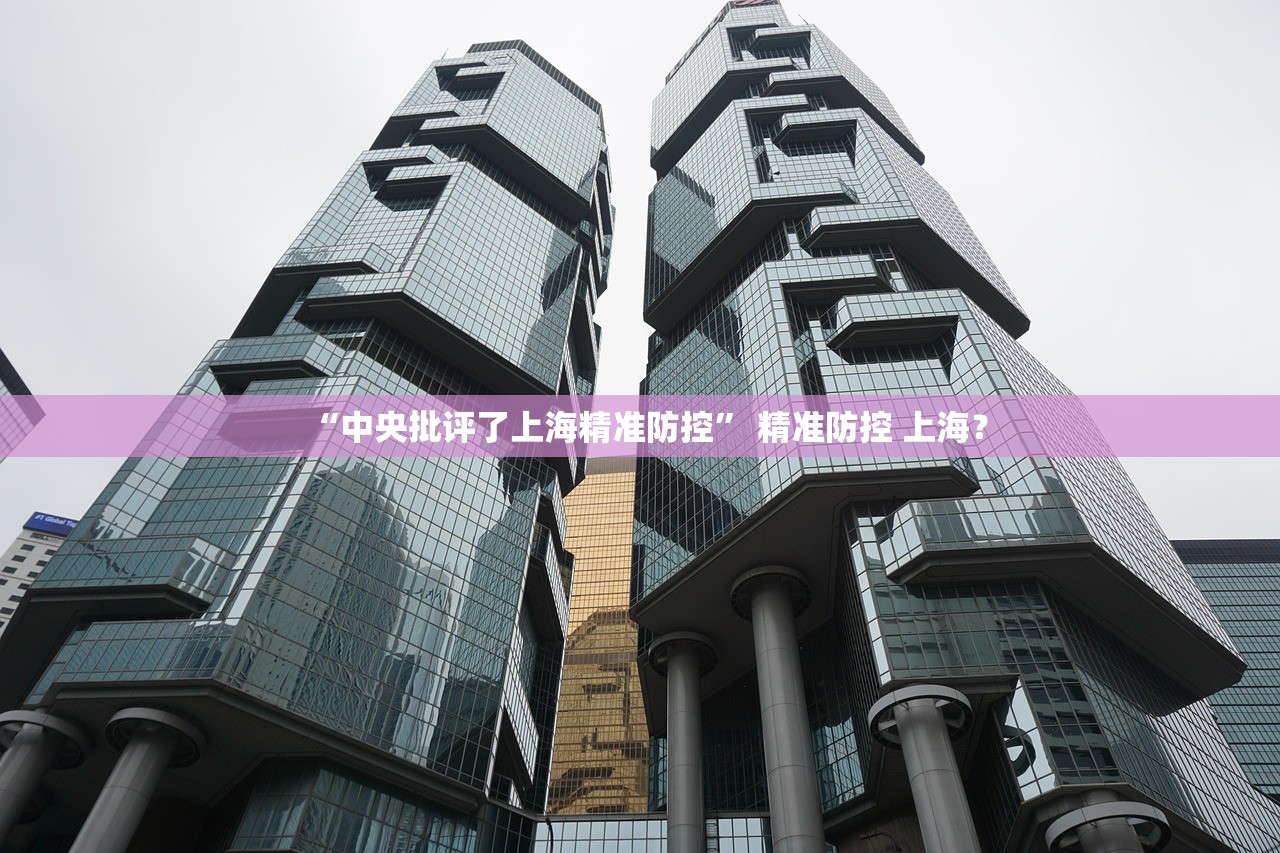 “中央批评了上海精准防控	” 精准防控 上海？