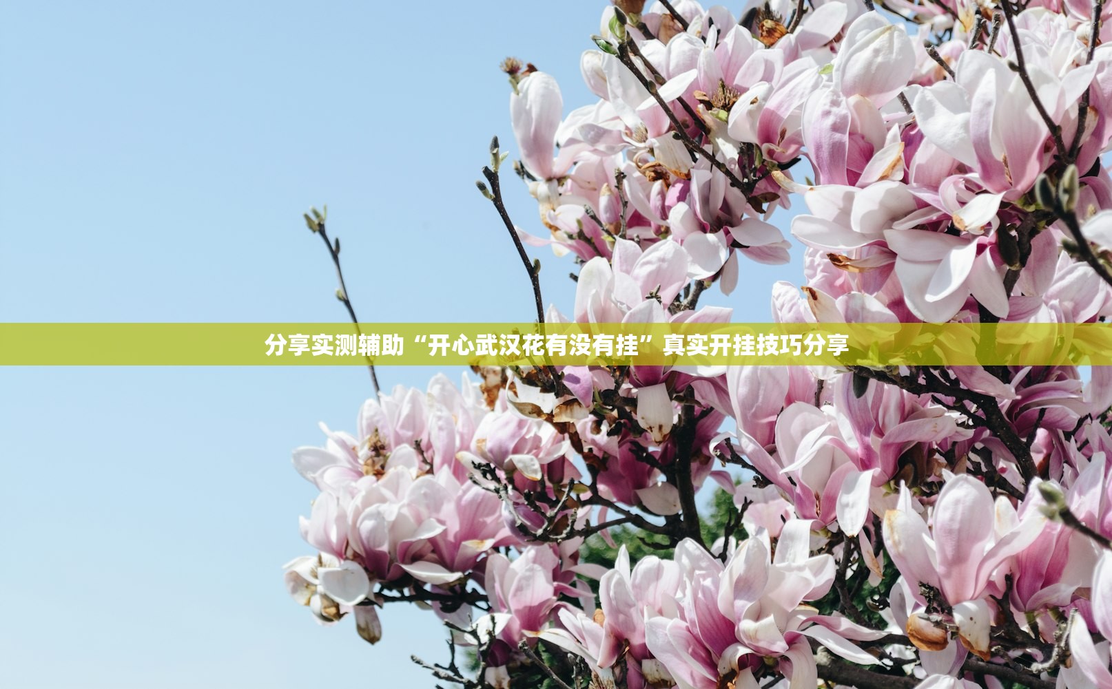 【本轮疫情波及28省份/新一轮本土疫情波及7省份】