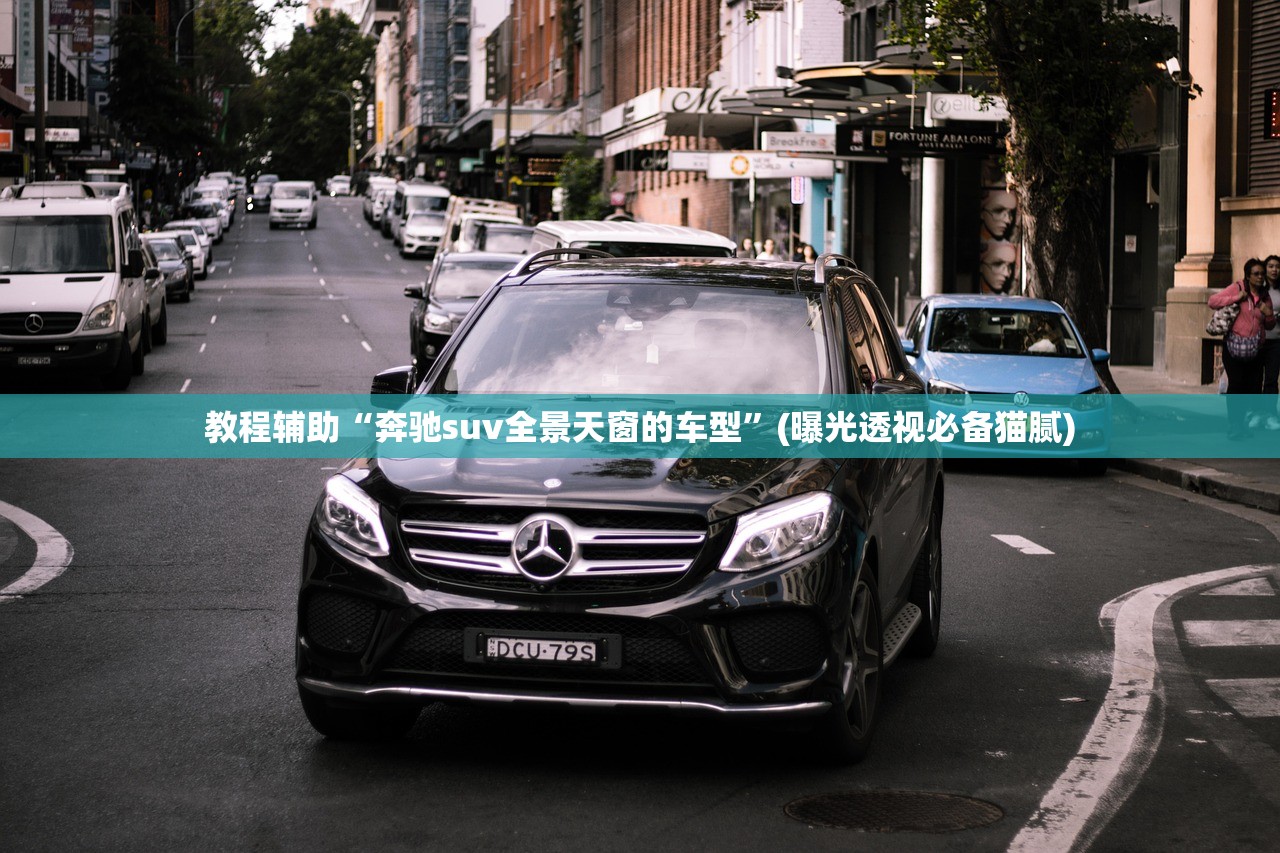教程辅助“奔驰suv全景天窗的车型”(曝光透视必备猫腻)