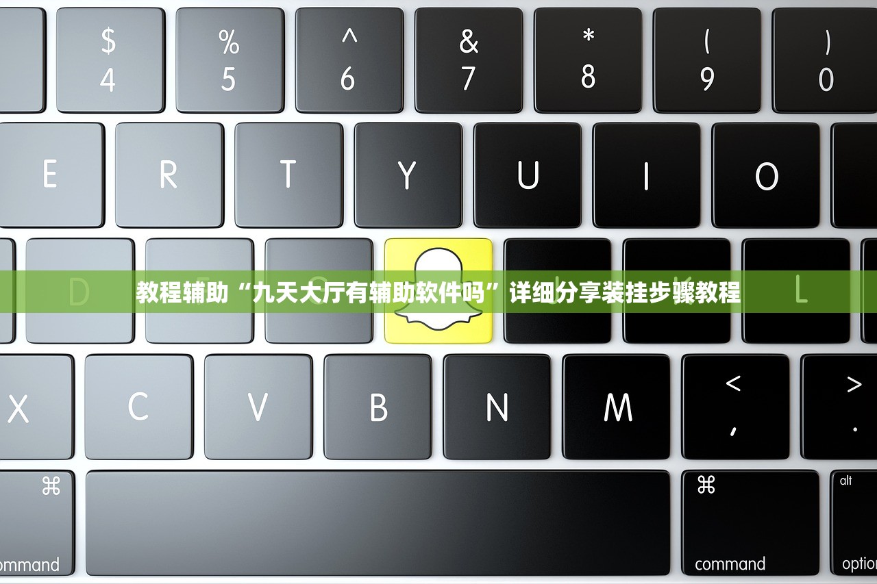 教程辅助“九天大厅有辅助软件吗”详细分享装挂步骤教程