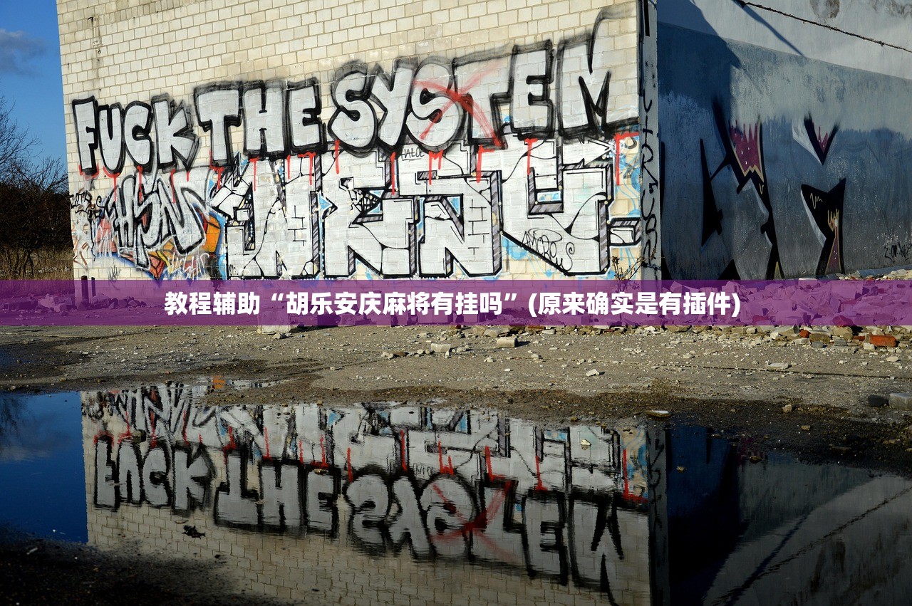 教程辅助“胡乐安庆麻将有挂吗	”(原来确实是有插件) 