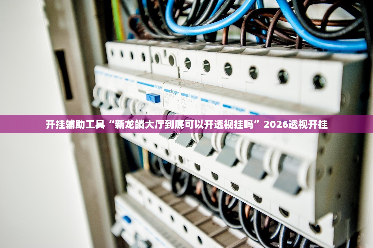 开挂辅助工具“新龙鳞大厅到底可以开透视挂吗	”2026透视开挂