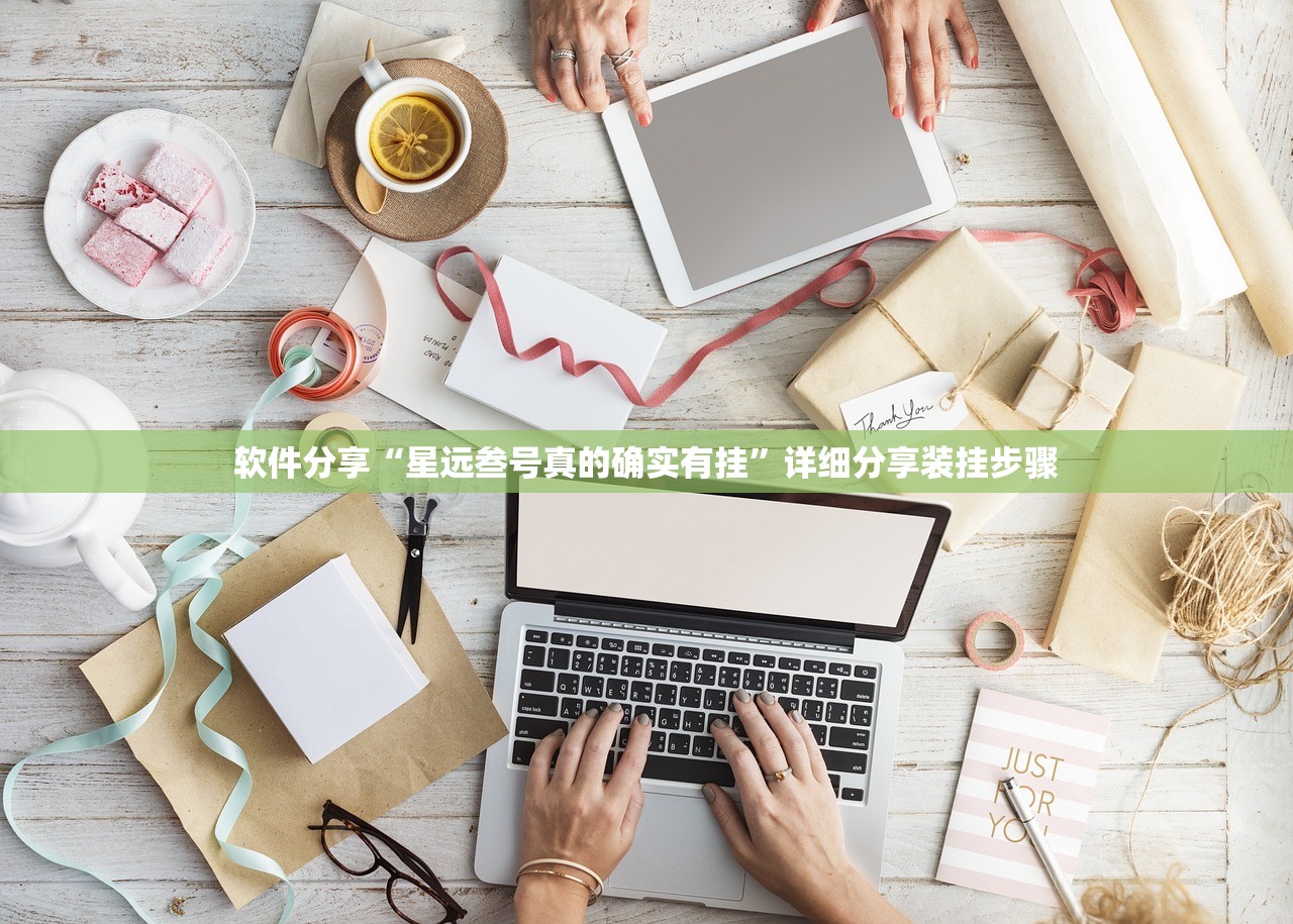 软件分享“星远叁号真的确实有挂”详细分享装挂步骤