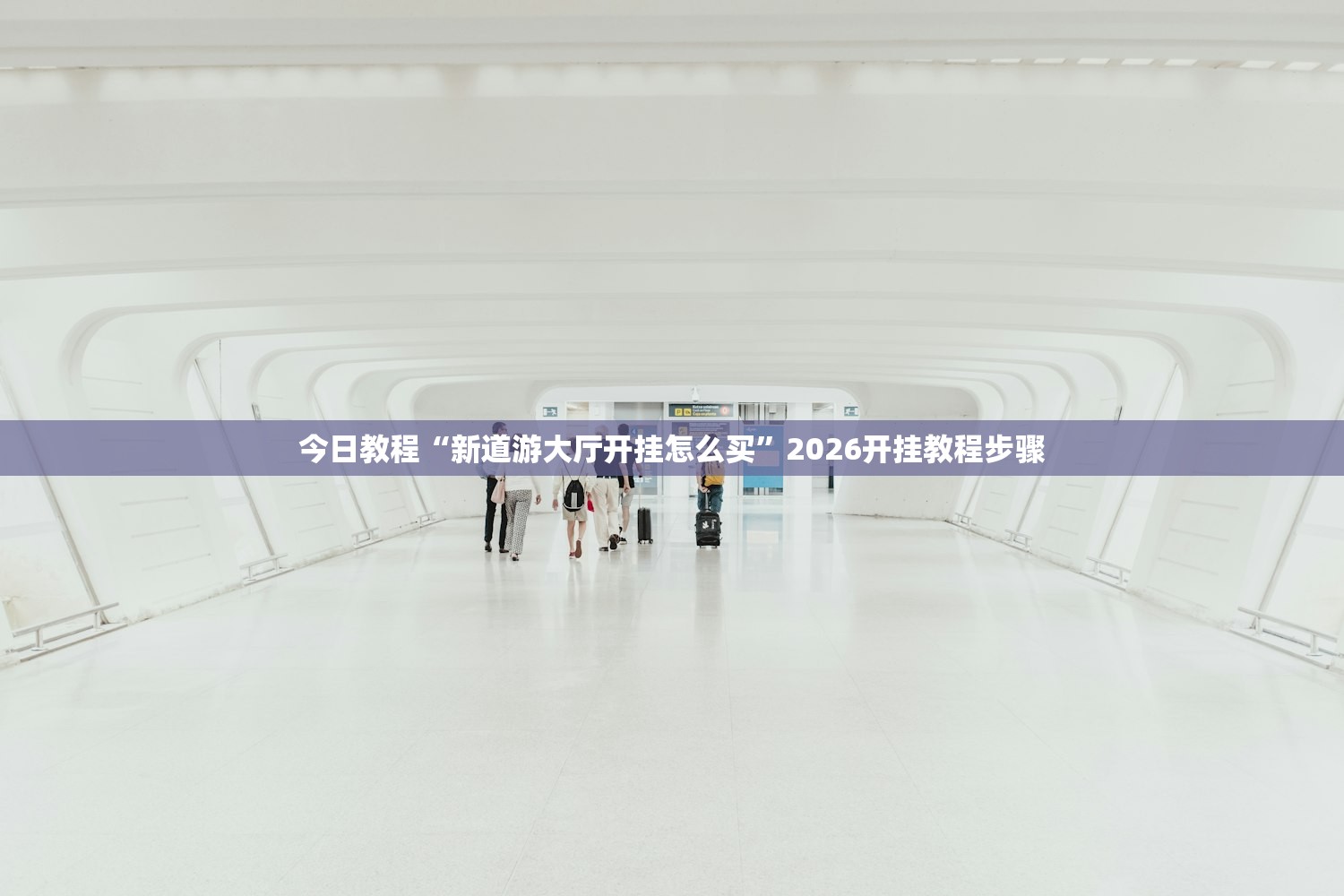 今日教程“新道游大厅开挂怎么买”2026开挂教程步骤