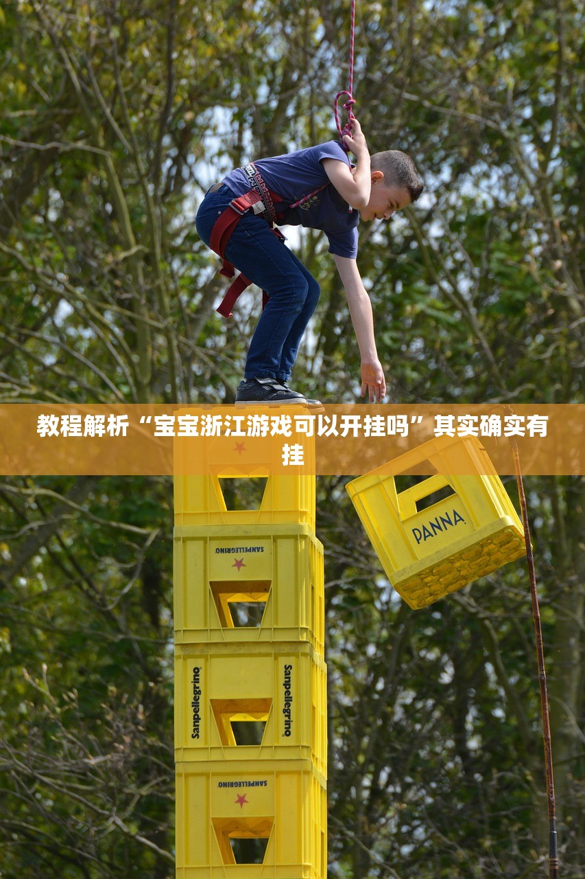 教程解析“宝宝浙江游戏可以开挂吗”其实确实有挂