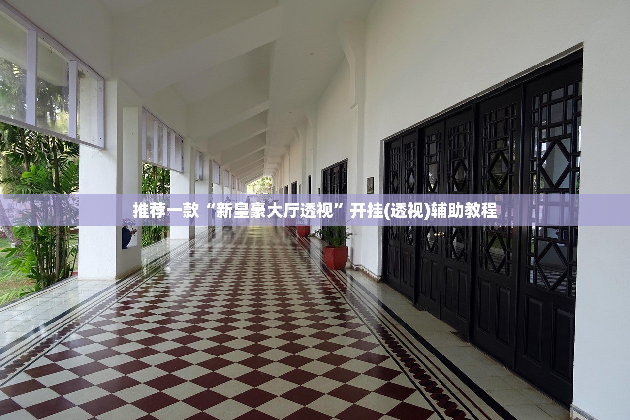 推荐一款“新皇豪大厅透视”开挂(透视)辅助教程