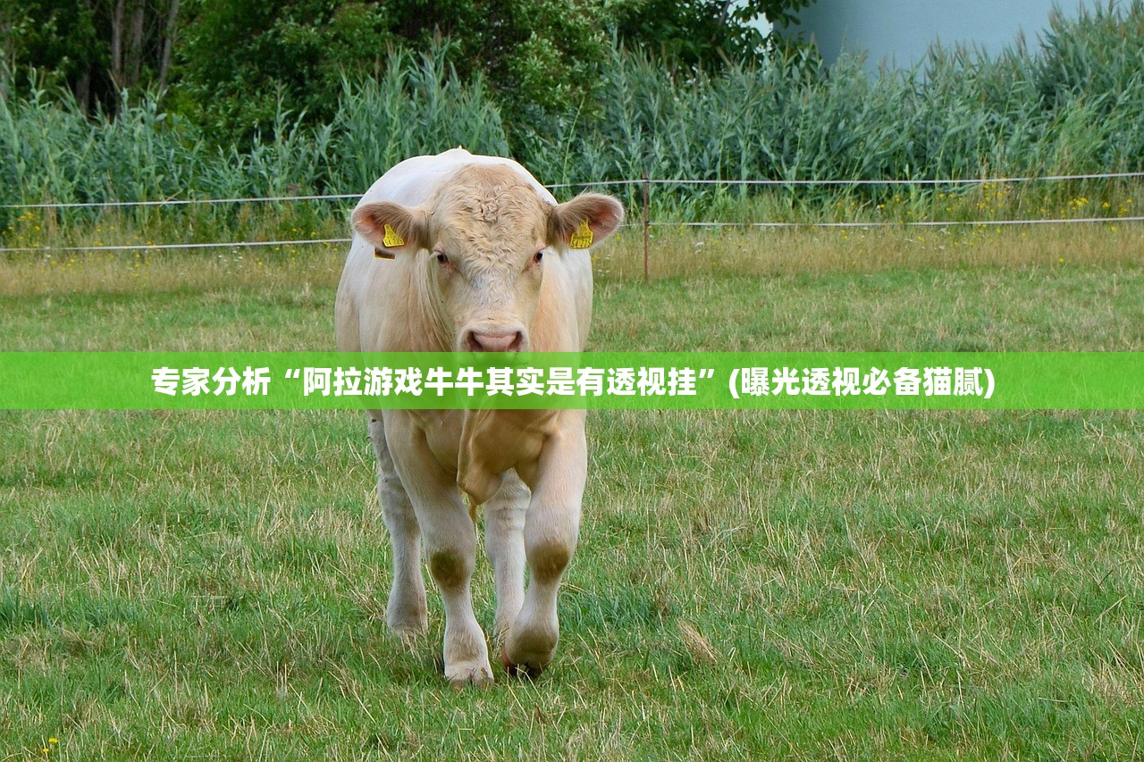 专家分析“阿拉游戏牛牛其实是有透视挂”(曝光透视必备猫腻)