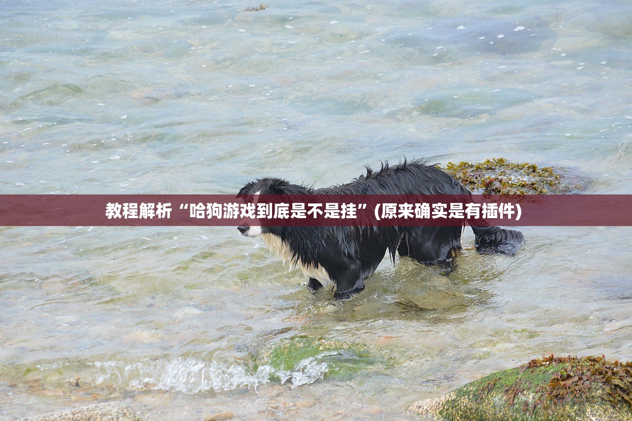教程解析“哈狗游戏到底是不是挂”(原来确实是有插件) 