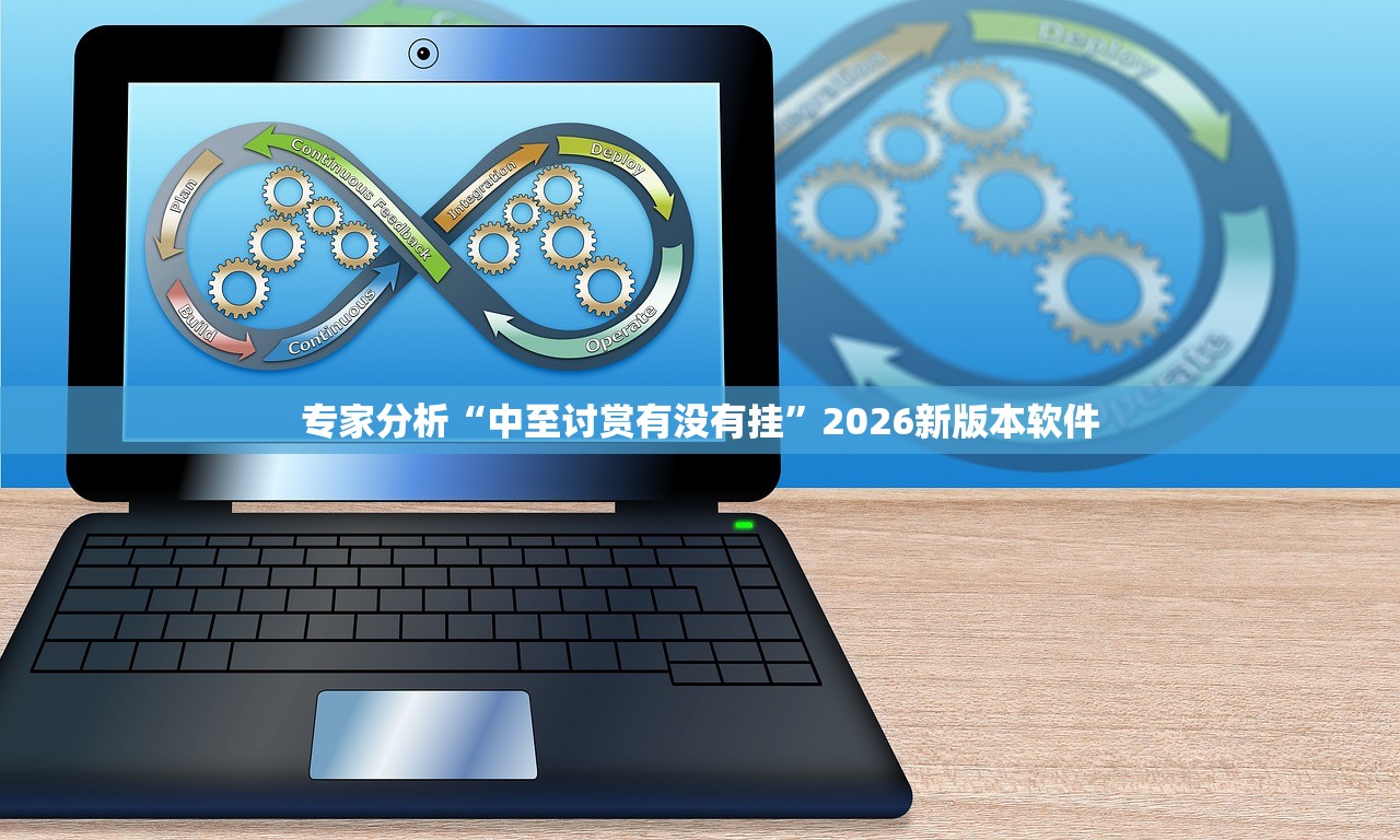 专家分析“中至讨赏有没有挂”2026新版本软件