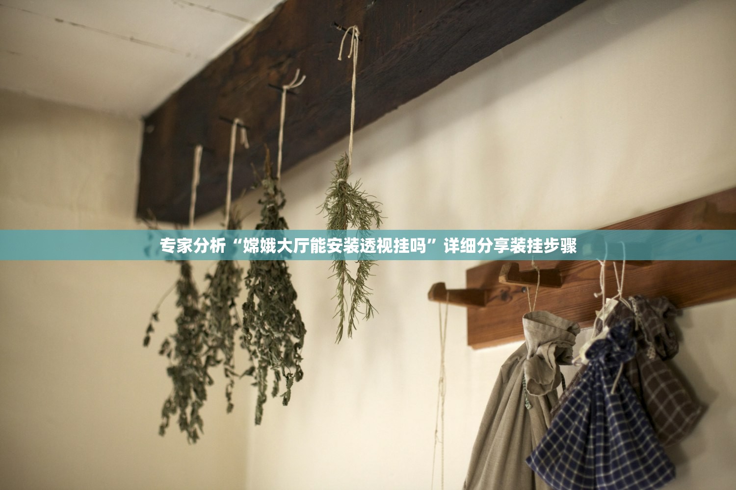 专家分析“嫦娥大厅能安装透视挂吗	”详细分享装挂步骤