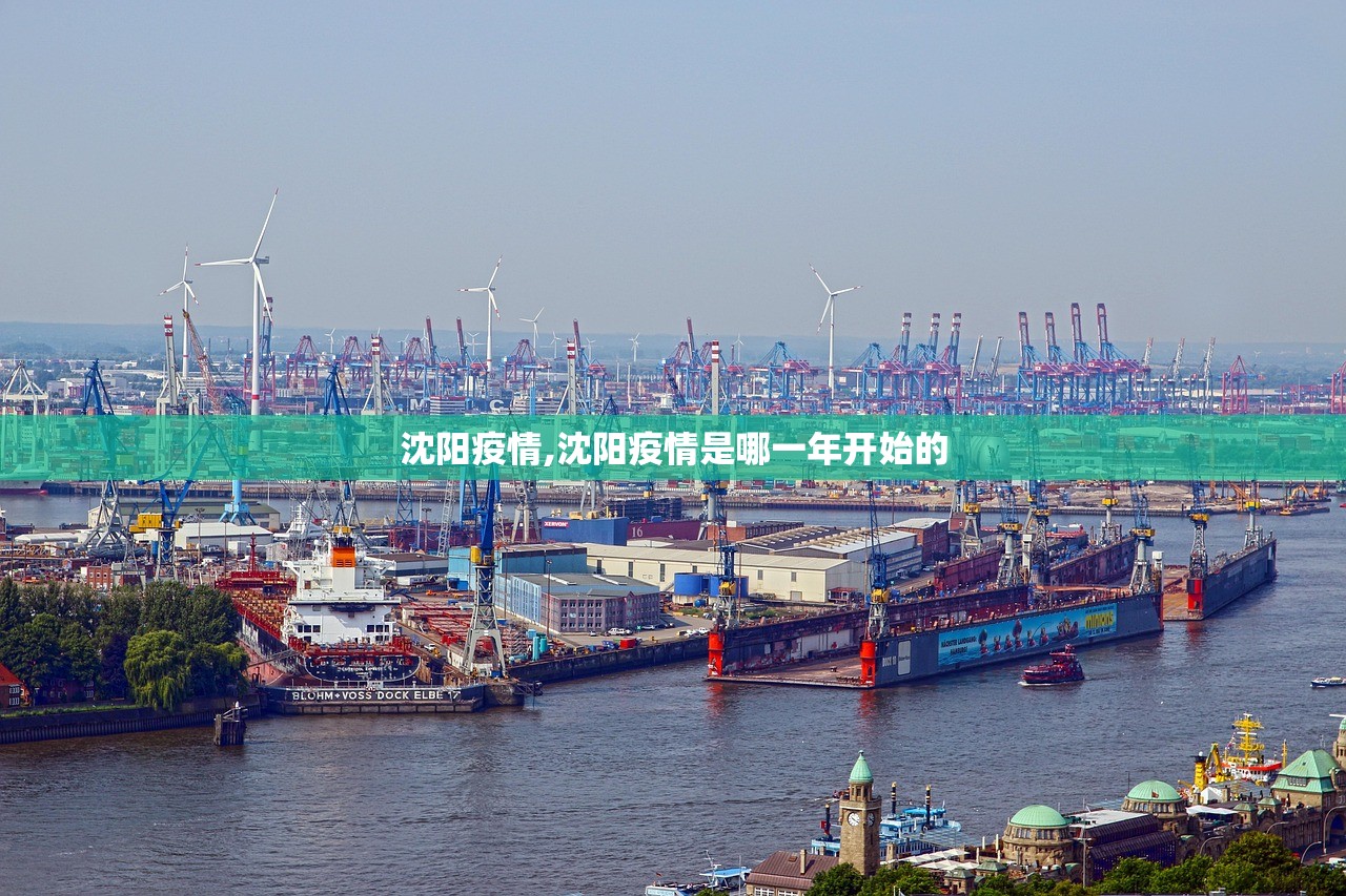 沈阳疫情,沈阳疫情是哪一年开始的