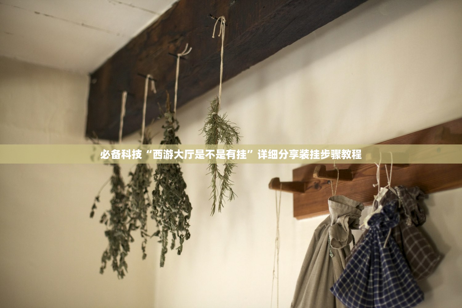 必备科技“西游大厅是不是有挂	”详细分享装挂步骤教程