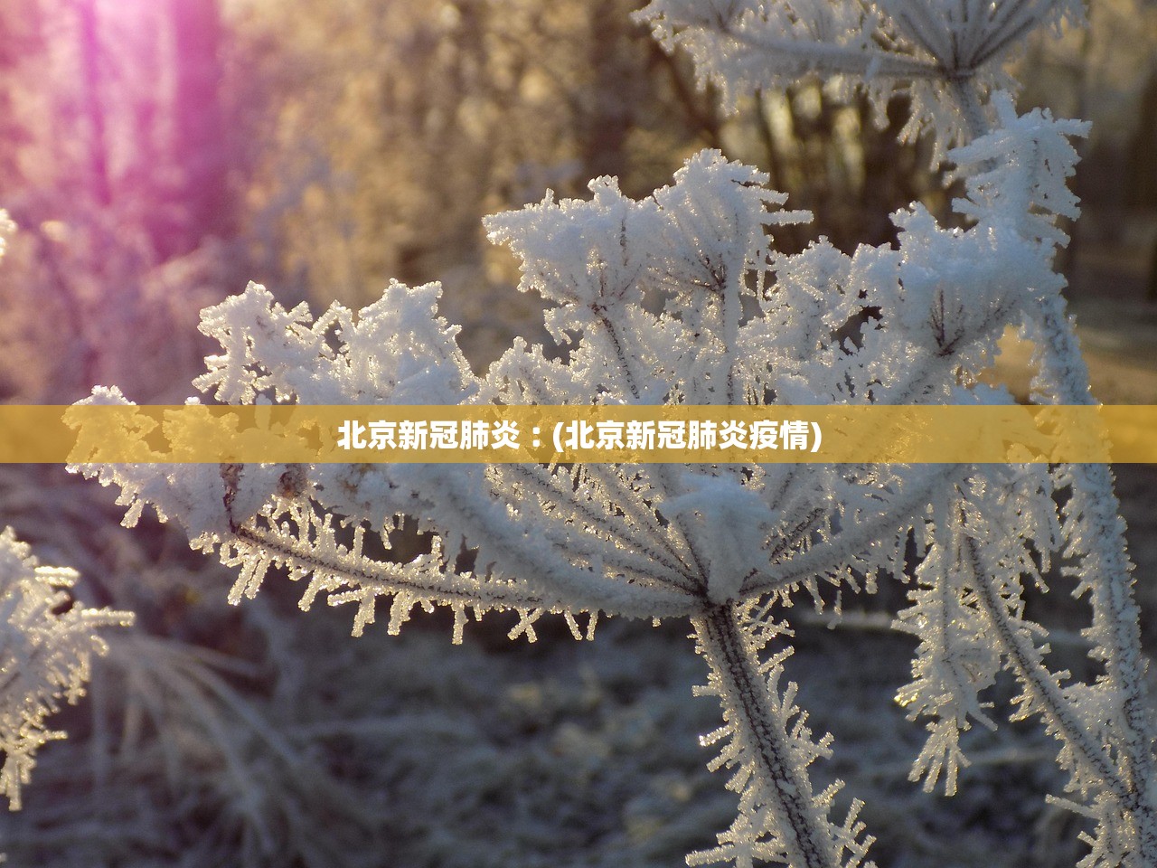 北京新冠肺炎︰(北京新冠肺炎疫情)