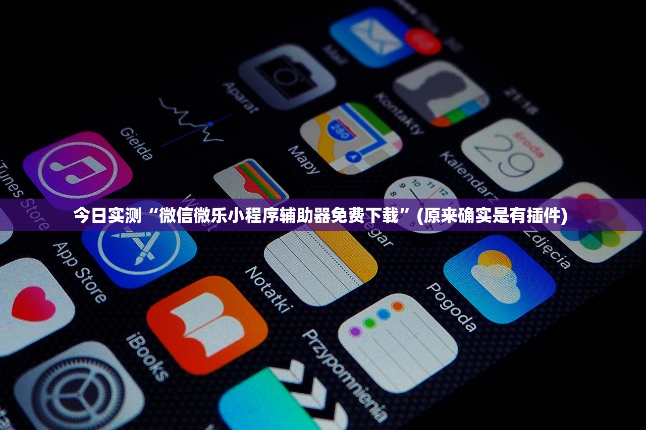 今日实测“微信微乐小程序辅助器免费下载”(原来确实是有插件) 
