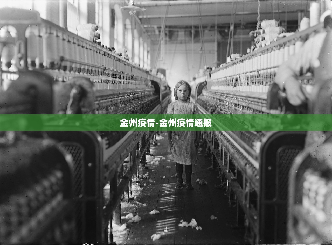 金州疫情-金州疫情通报