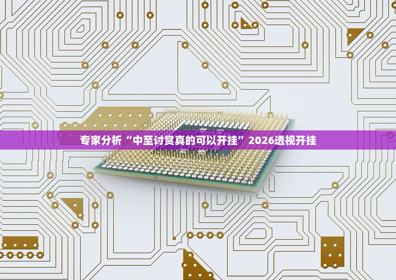 专家分析“中至讨赏真的可以开挂”2026透视开挂