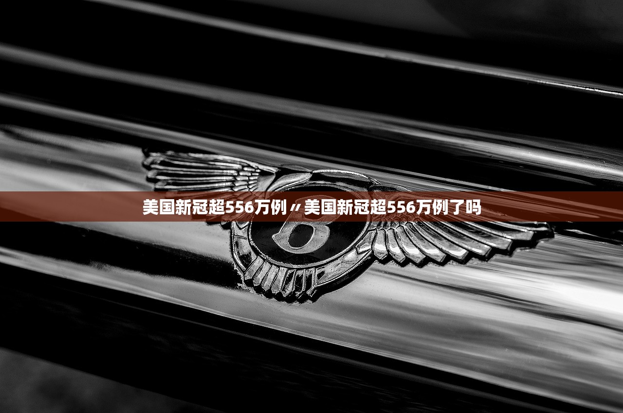 美国新冠超556万例〃美国新冠超556万例了吗