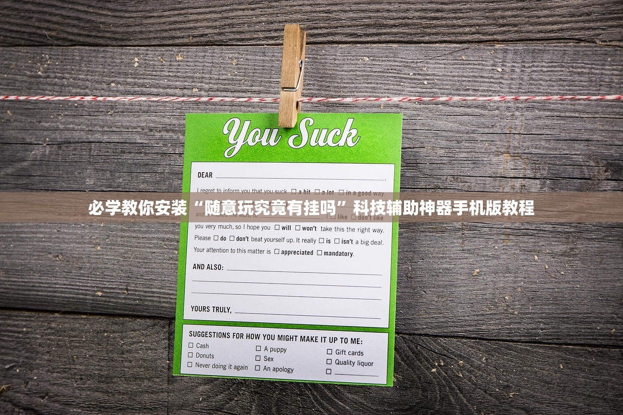 必学教你安装“随意玩究竟有挂吗”科技辅助神器手机版教程