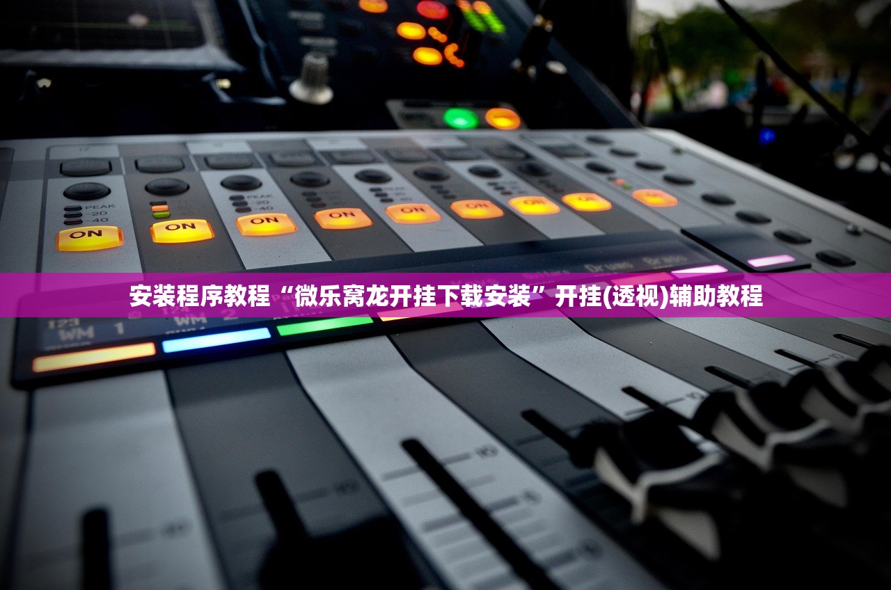 安装程序教程“微乐窝龙开挂下载安装”开挂(透视)辅助教程