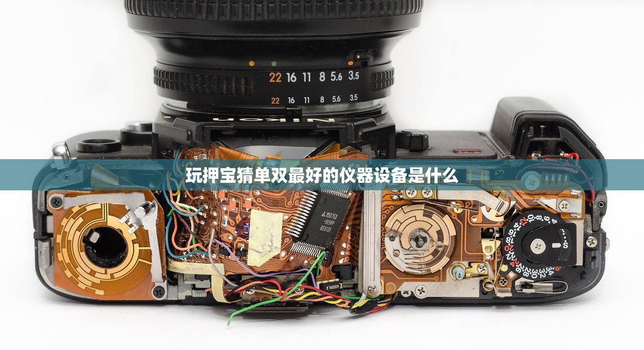 玩押宝猜单双最好的仪器设备是什么