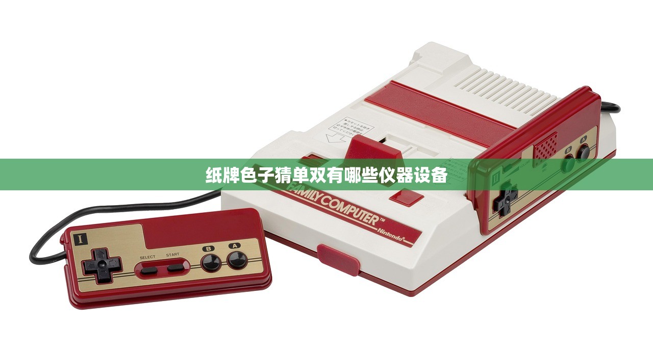 纸牌色子猜单双有哪些仪器设备
