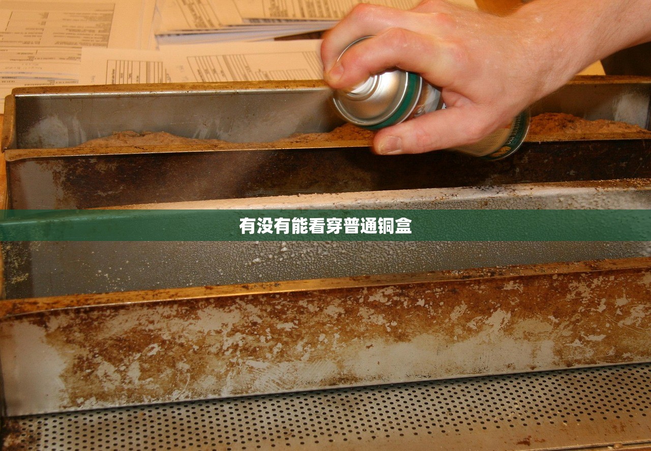 有没有能看穿普通铜盒