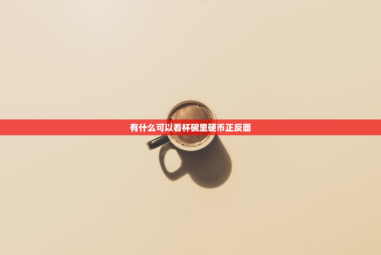 有什么可以看杯碗里硬币正反面