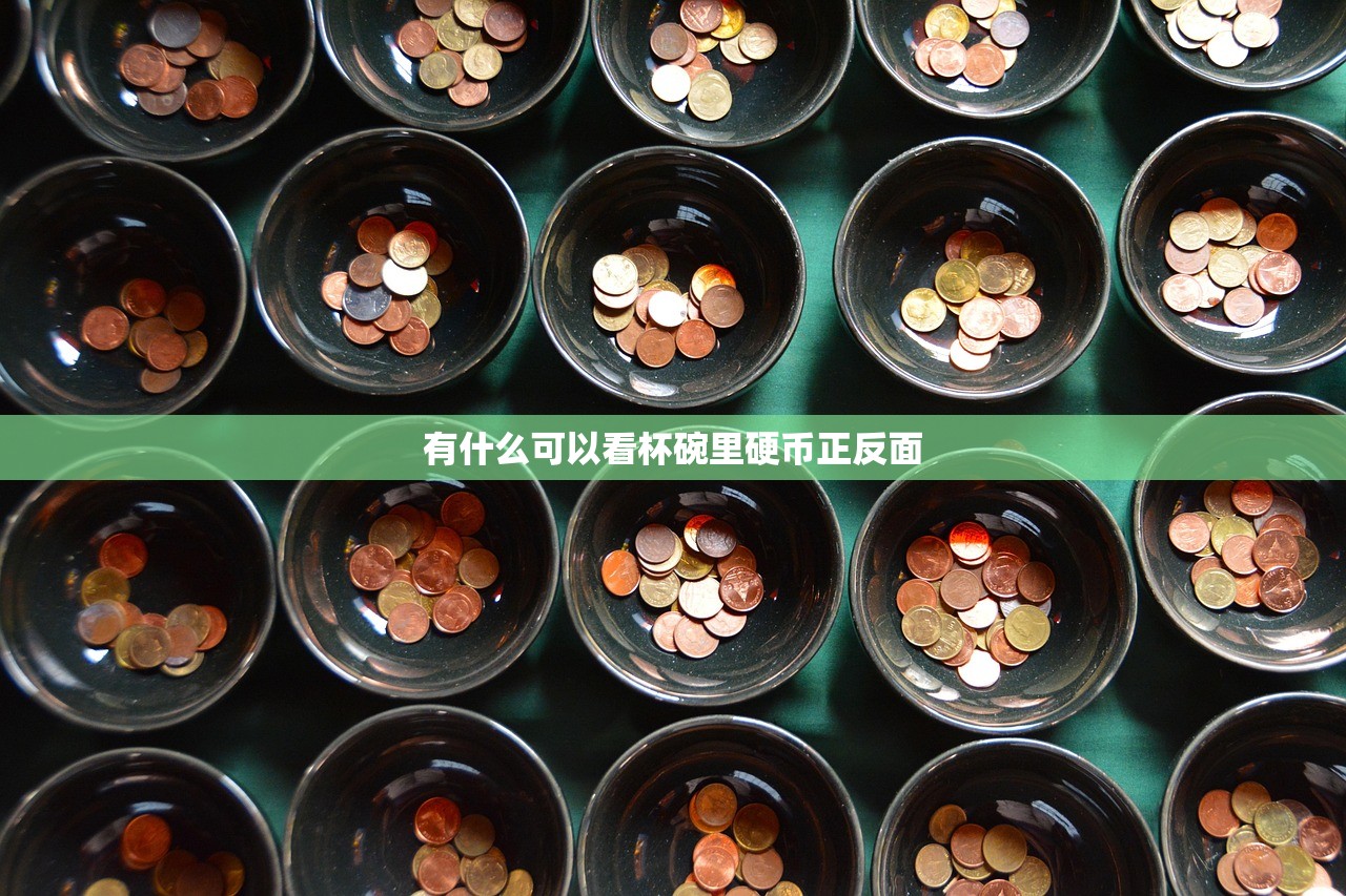 有什么可以看杯碗里硬币正反面