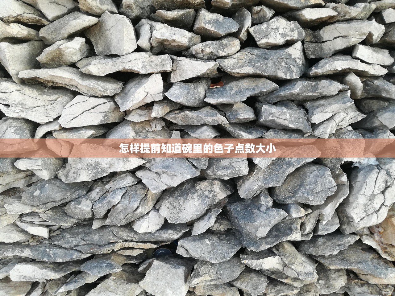 怎样提前知道碗里的色子点数大小