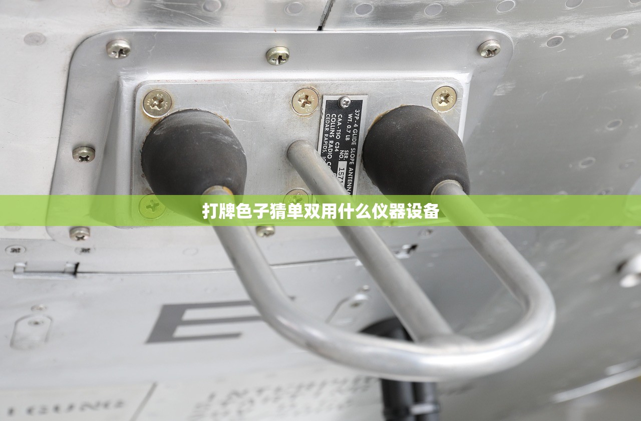 打牌色子猜单双用什么仪器设备
