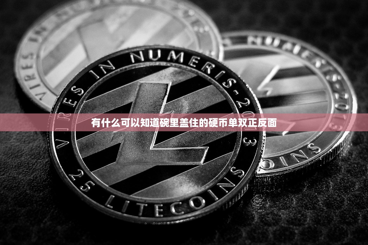 有什么可以知道碗里盖住的硬币单双正反面