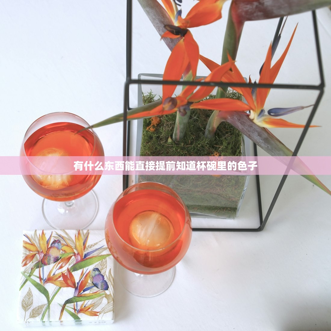有什么东西能直接提前知道杯碗里的色子