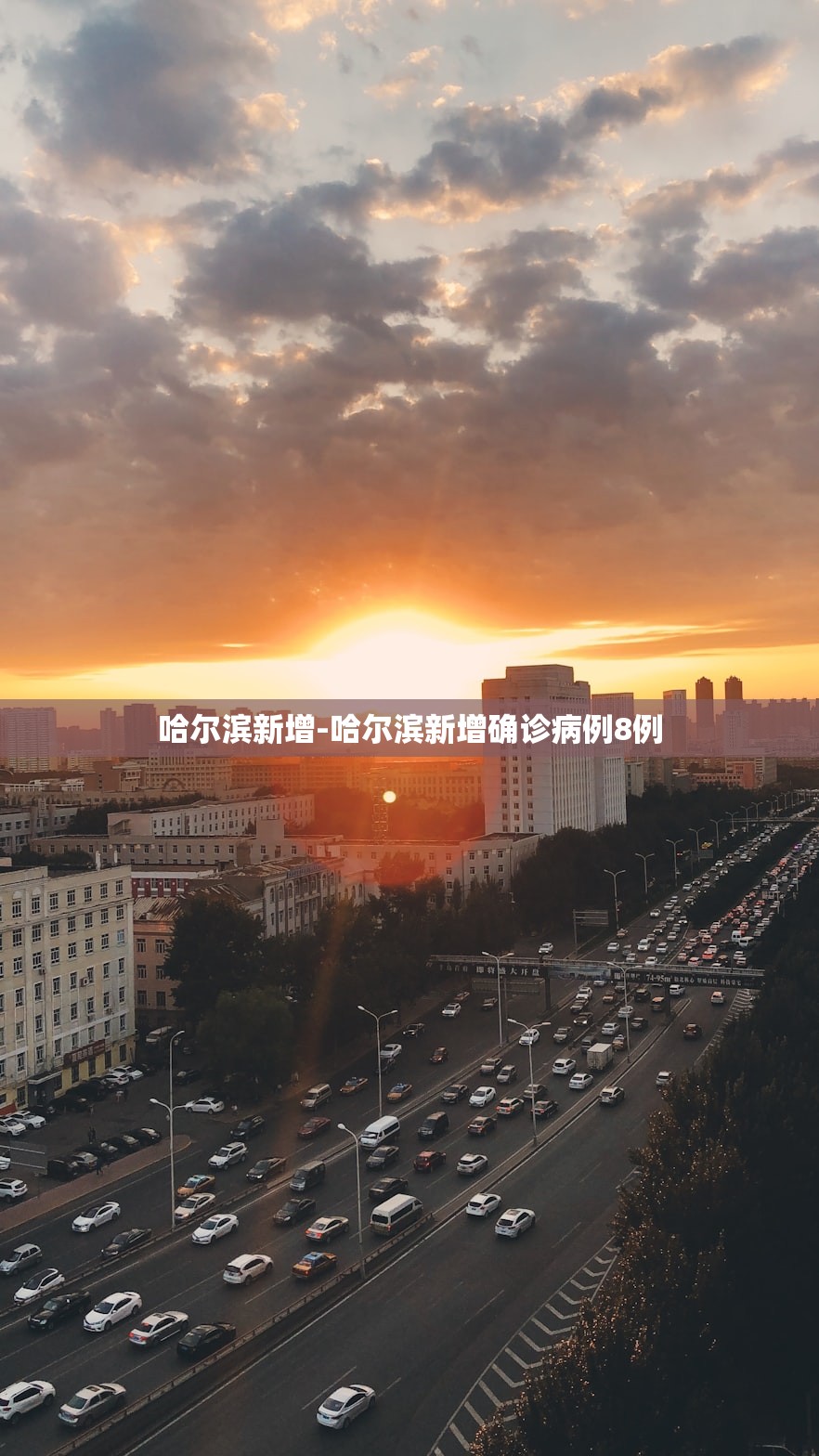 哈尔滨新增-哈尔滨新增确诊病例8例