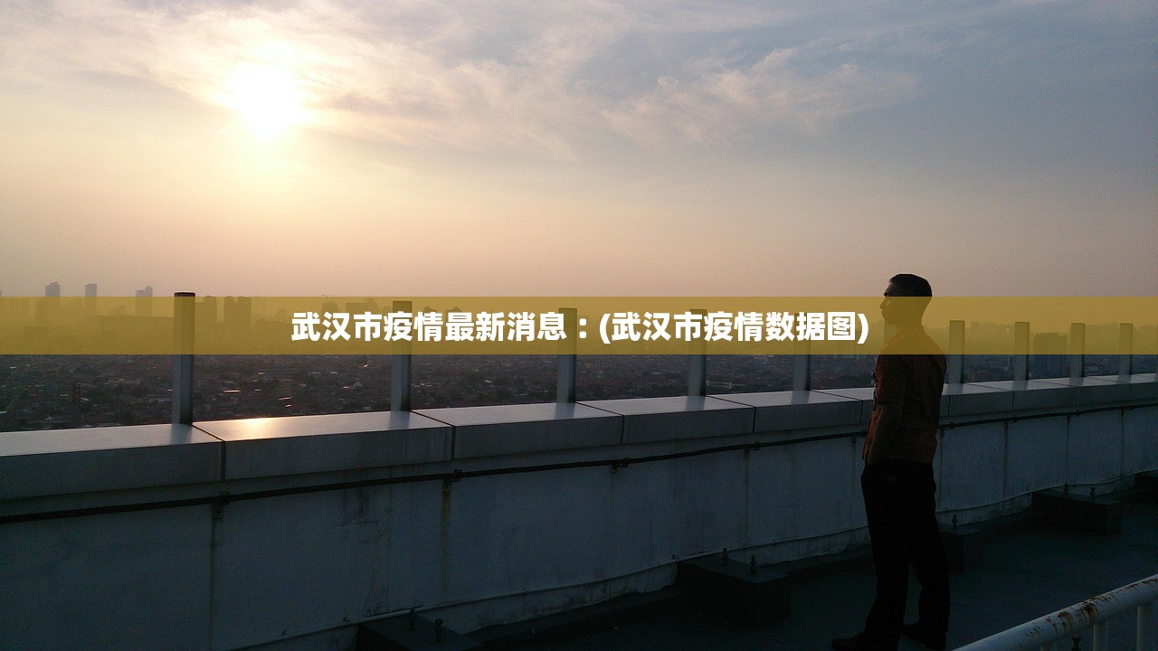 武汉市疫情最新消息︰(武汉市疫情数据图)