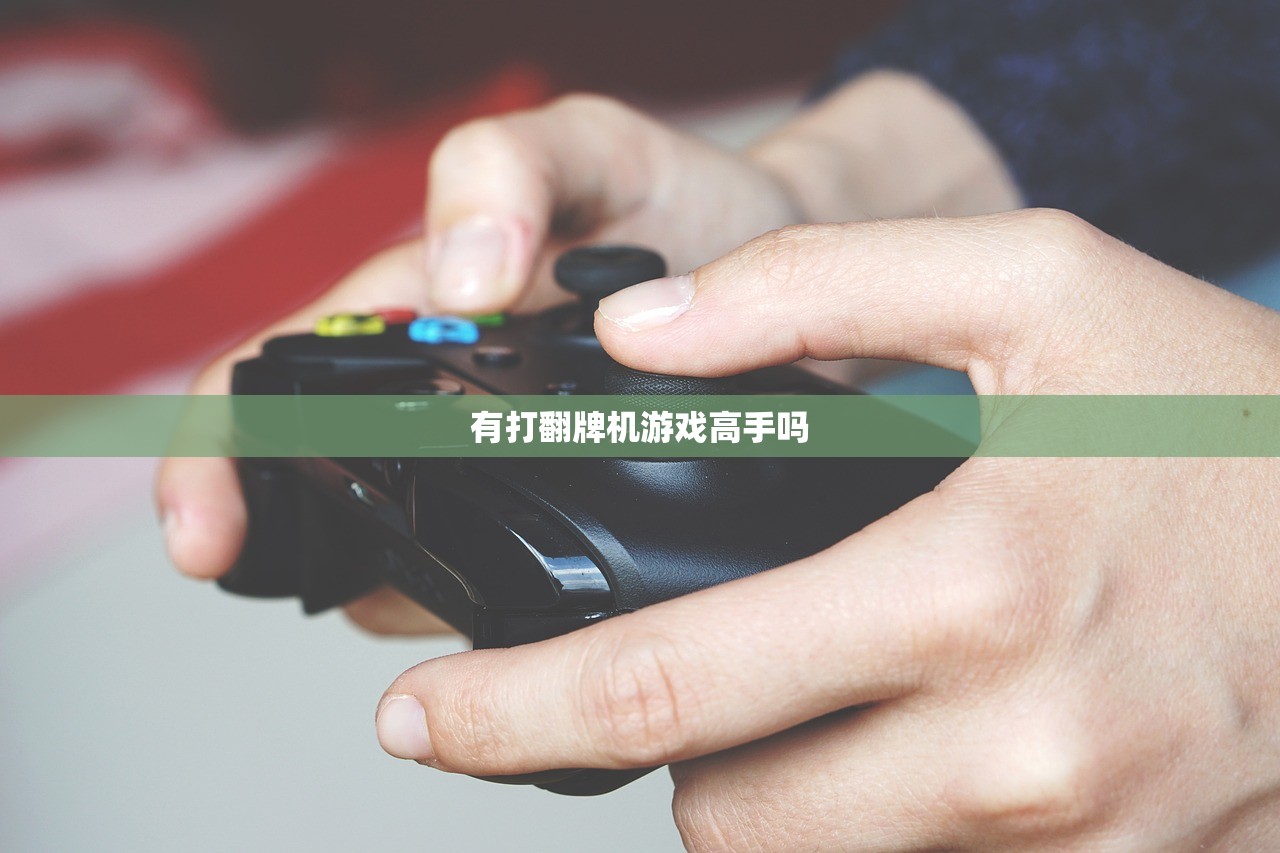 有打翻牌机游戏高手吗