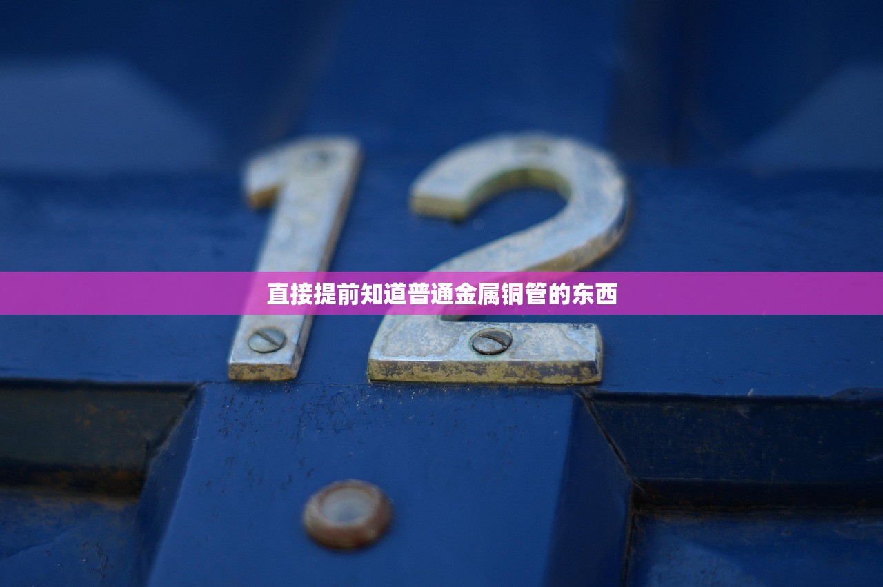 直接提前知道普通金属铜管的东西