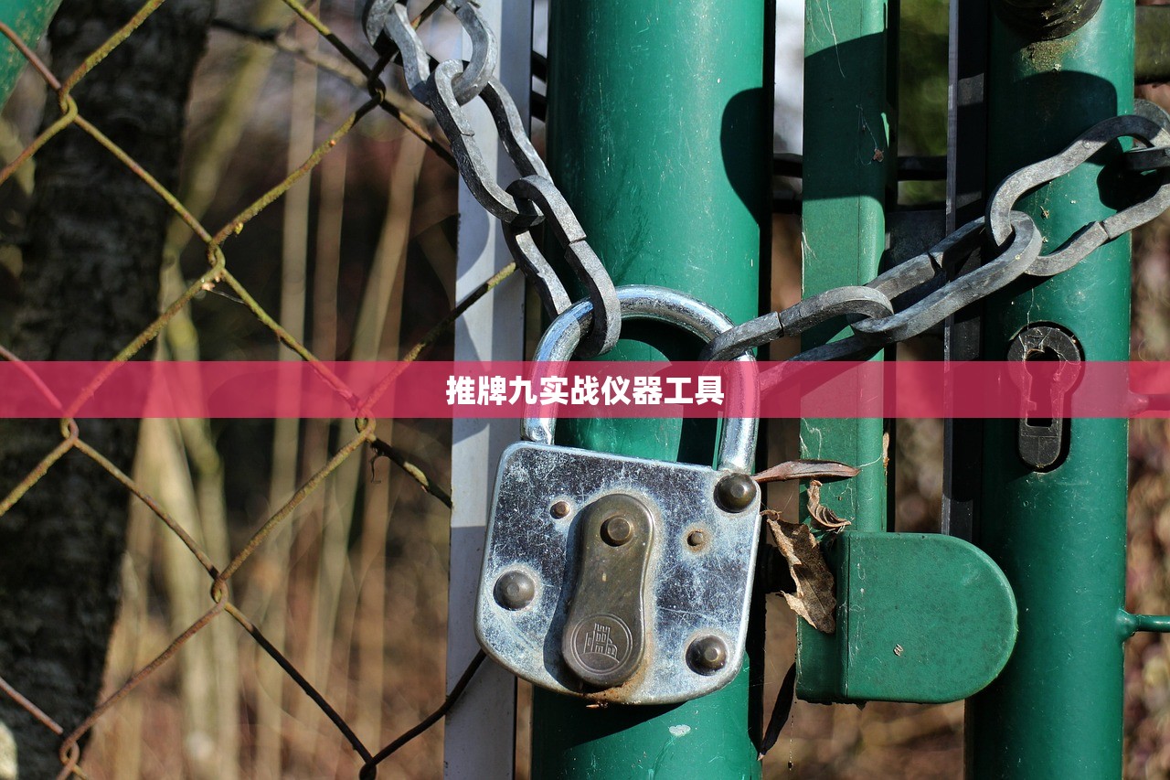 推牌九实战仪器工具