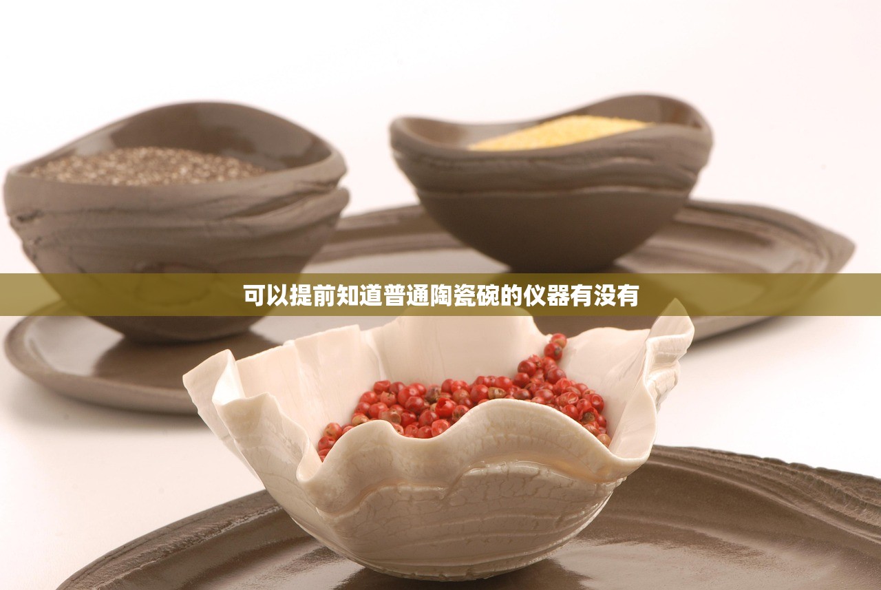可以提前知道普通陶瓷碗的仪器有没有