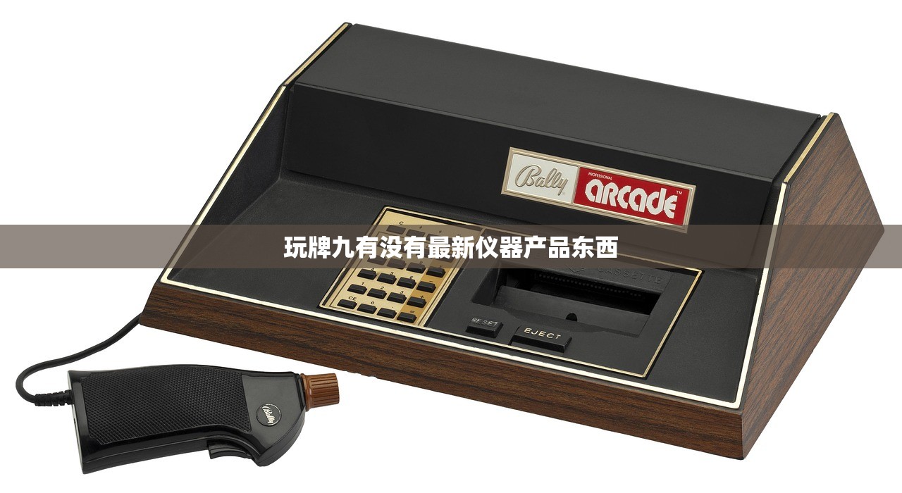 玩牌九有没有最新仪器产品东西