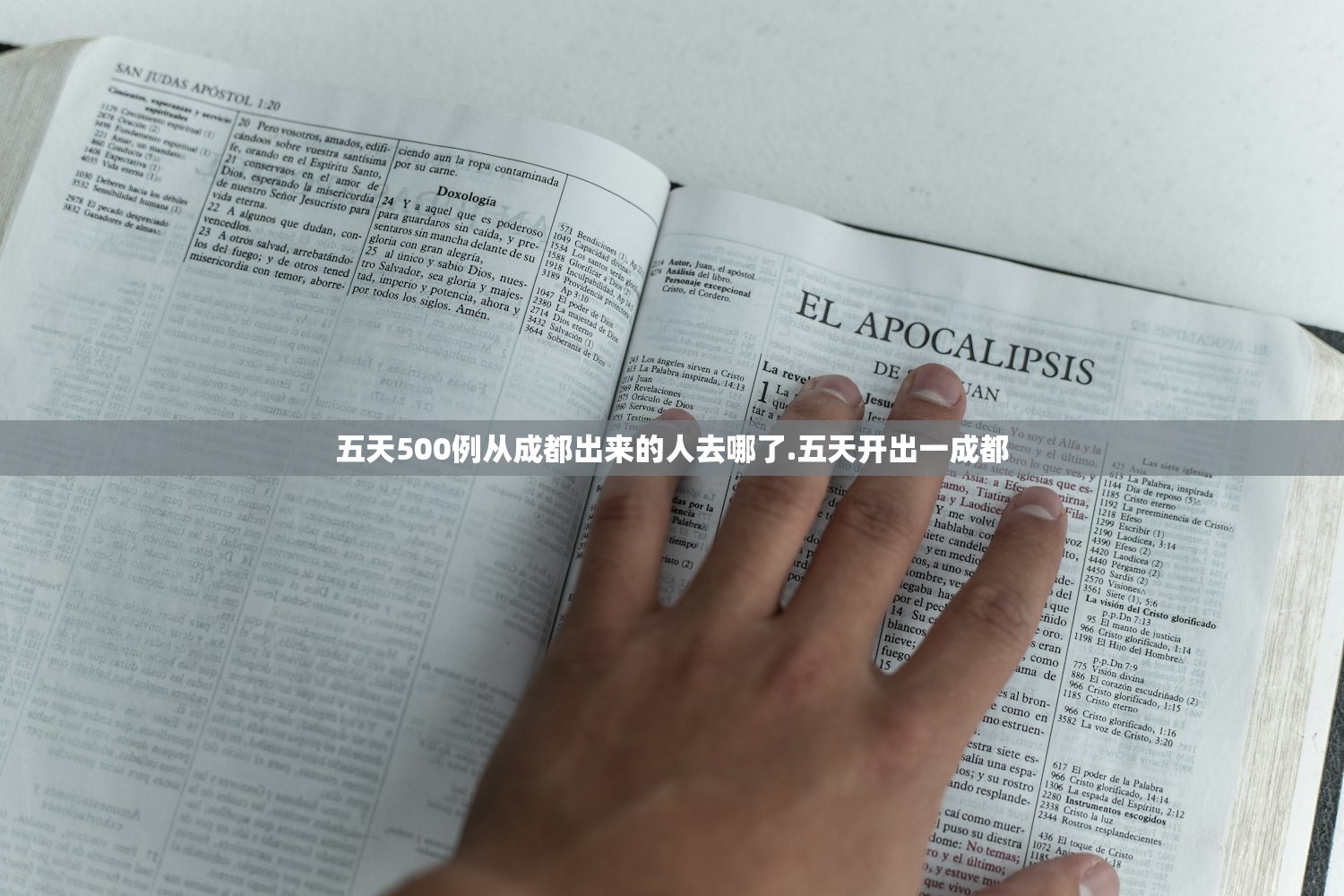 五天500例从成都出来的人去哪了.五天开出一成都