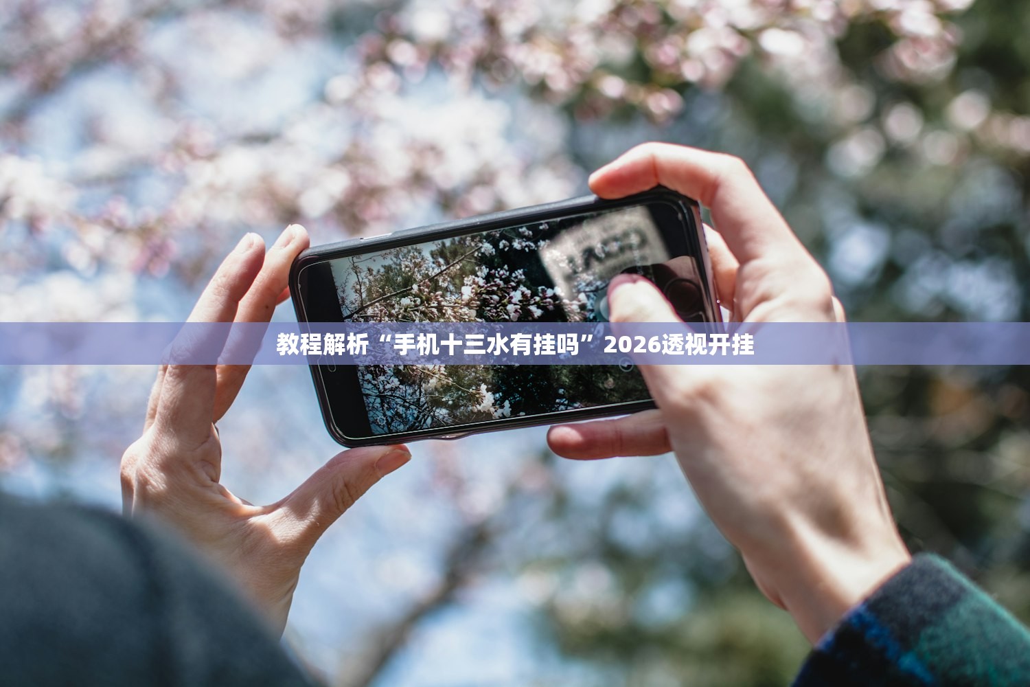 教程解析“手机十三水有挂吗”2026透视开挂