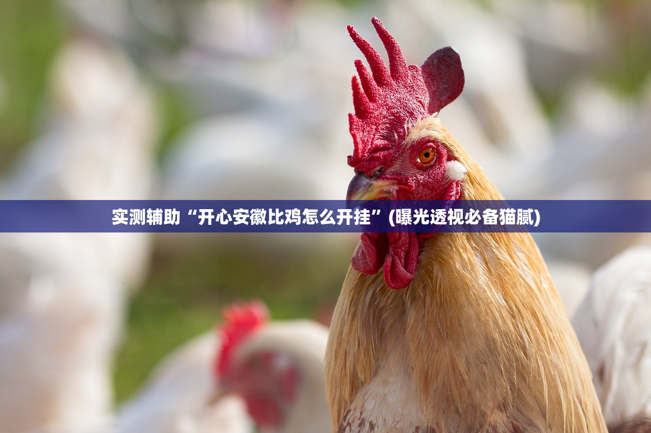 实测辅助“开心安徽比鸡怎么开挂”(曝光透视必备猫腻)