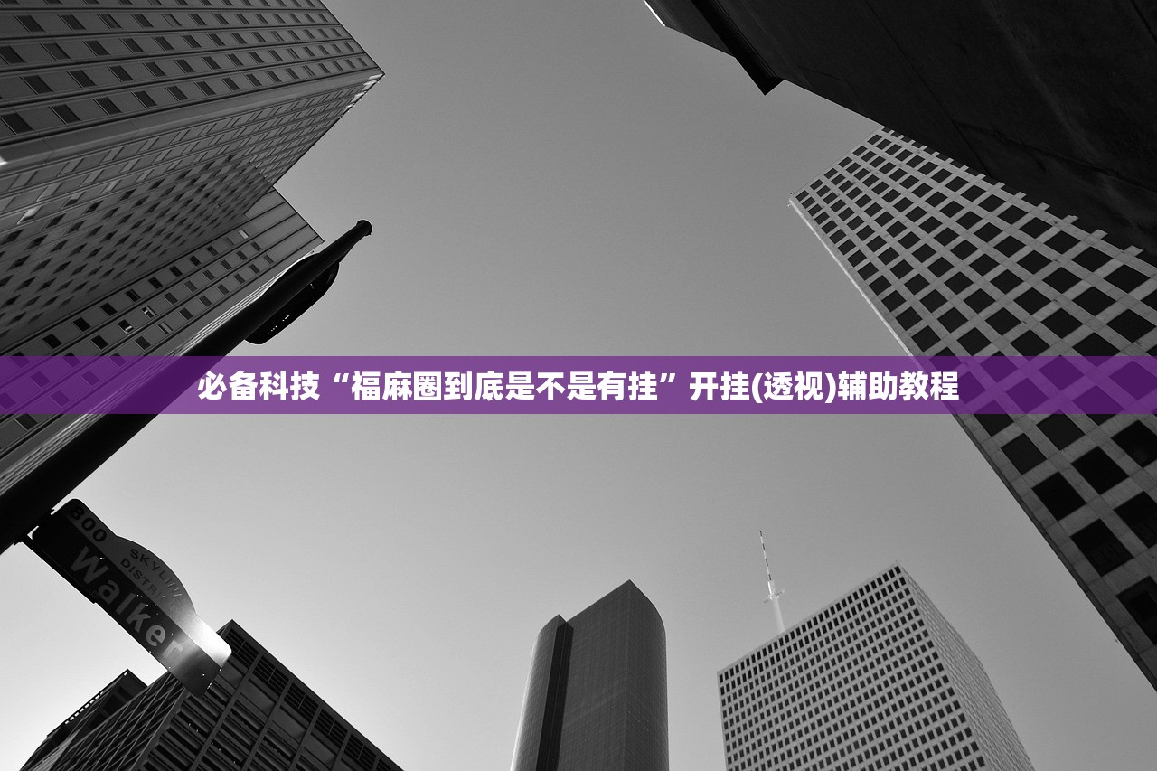 必备科技“福麻圈到底是不是有挂	”开挂(透视)辅助教程