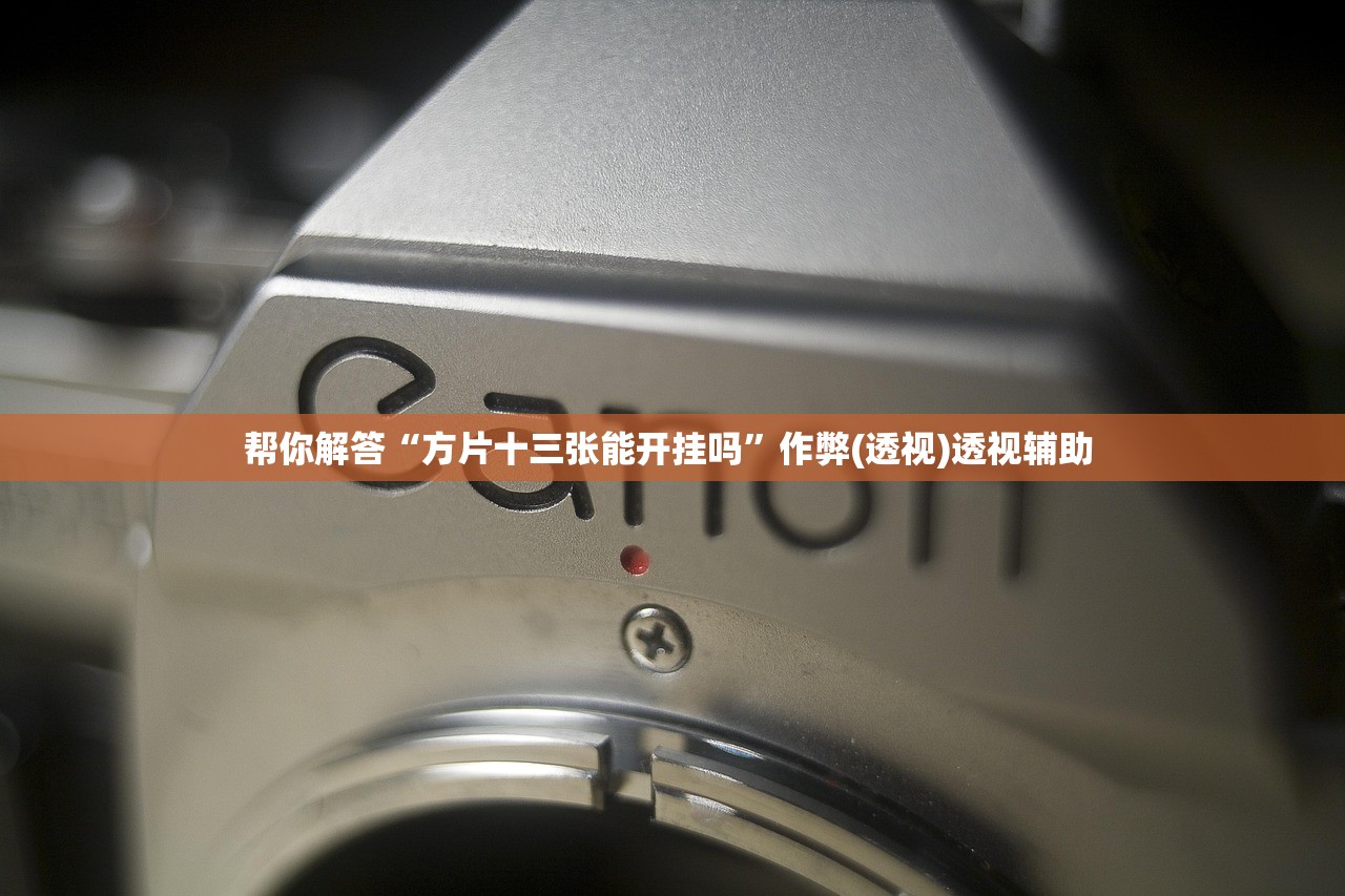 帮你解答“方片十三张能开挂吗”作弊(透视)透视辅助 