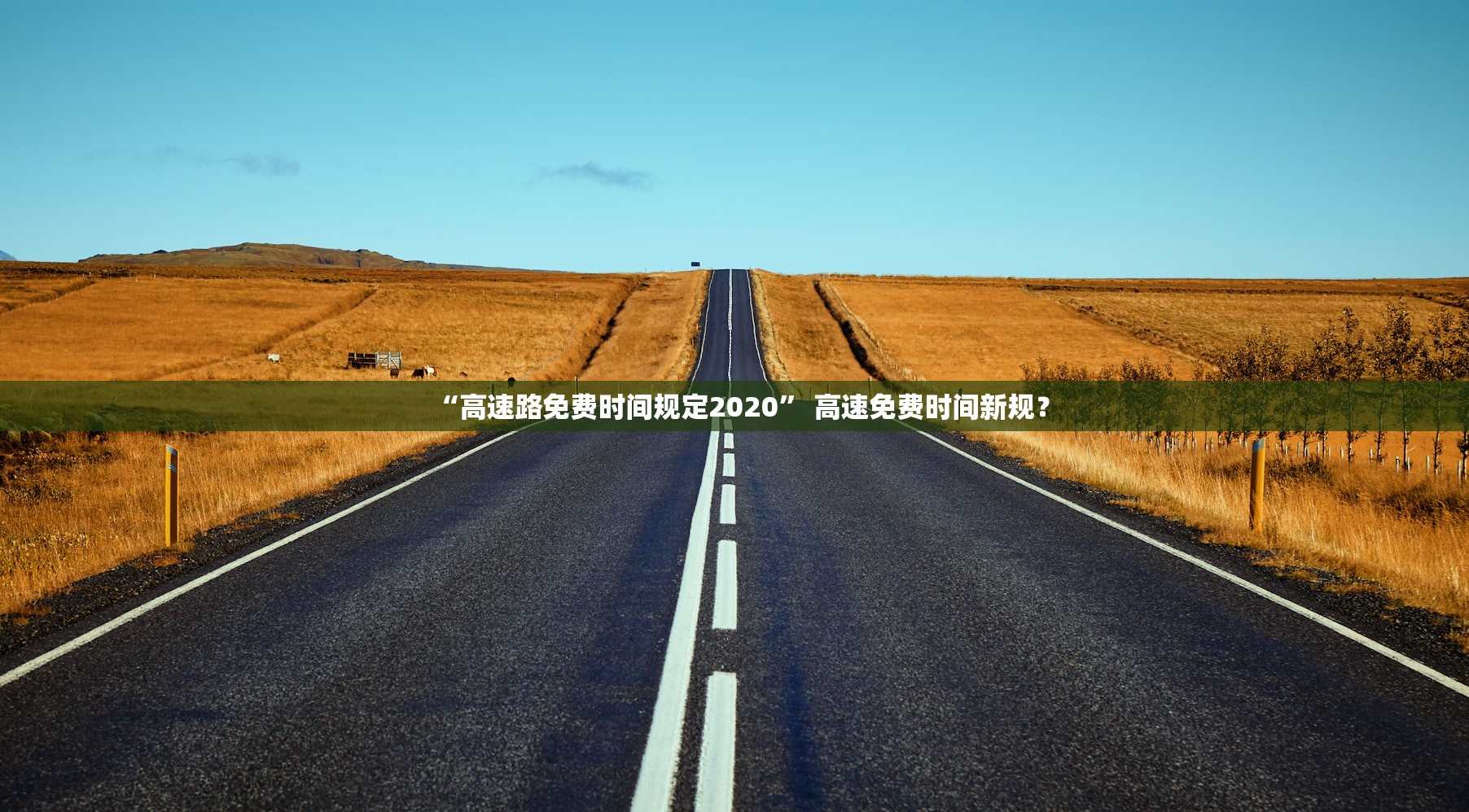 今日必看教程“新九九开挂透视软件	”(原来确实是有插件) 